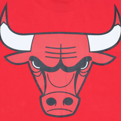 Chicago Bulls Scarlet Short Sleeve T-Shirt