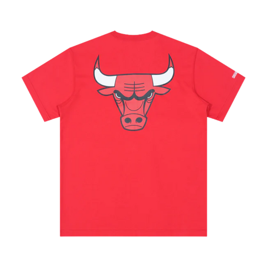 Chicago Bulls Scarlet Short Sleeve T-Shirt